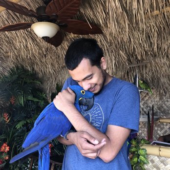 Smile For The Birdie - Mo and his favorite parrot, the hyacinth macaw - Party & Event Planning Near Me - Long Beach, California