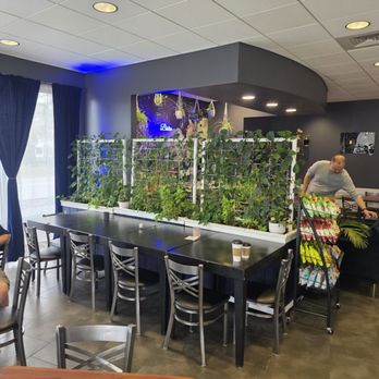 Bougie Coffee Bistro - Seating, green wall - Coffee & Tea Near Me - Anderson, South Carolina Bougie Coffee Bistro - Seating, green wall - Coffee & Tea Near Me - Anderson, South Carolina