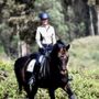Photo of Steinbeck Peninsula Equine Clinics