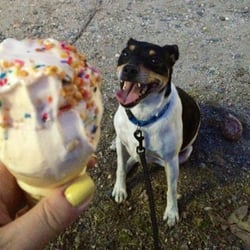 Dairy Hut