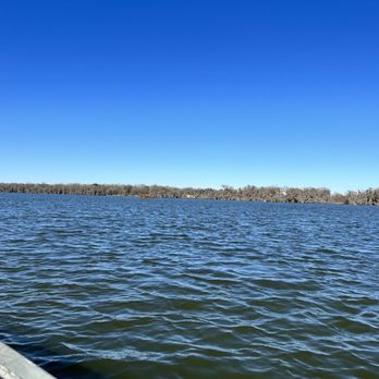 Borel’s Swamp Tours - Boat Tours Near Me - Breaux Bridge, Louisiana