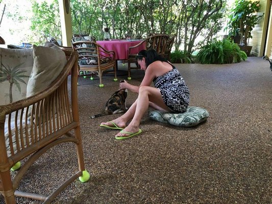 Papaya Paradise Bed & Breakfast by null