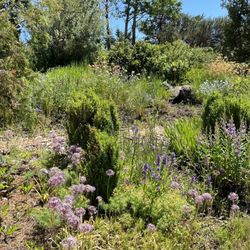 University of Idaho Arboretum & Botanical Garden