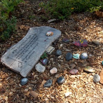 Shamrock Park - The Kindness Rocks Project - Parks Near Me - Tyrone, Georgia Shamrock Park - The Kindness Rocks Project - Parks Near Me - Tyrone, Georgia