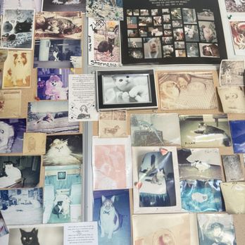 Pet's Rest Cemetery and Crematory - My - Pet Cremation Services Near Me - Colma, California Pet's Rest Cemetery and Crematory - My - Pet Cremation Services Near Me - Colma, California
