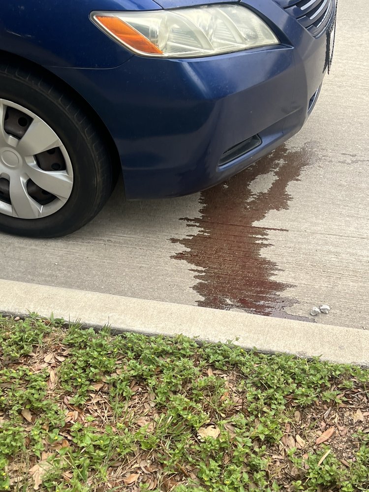 RAYO MOTORS Updated August 2024 1730 Forest Ln, Garland, Texas