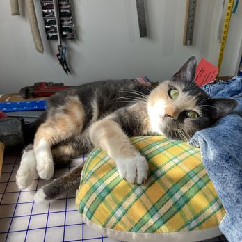 All Bodies Tailoring - Our favorite "helper". - Bespoke Clothing Near Me