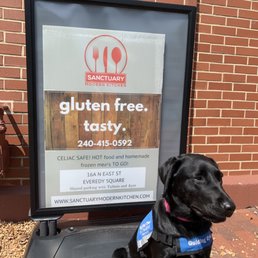 Excellent gluten-free food. My rasers wouldn't let me have anything but one has celiac's