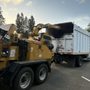 Photo of M&D Tree Service