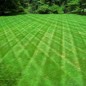 Galena Lawn Care - a freshly mowed lawn - Lawn Services Near Me - Galena, Ohio Galena Lawn Care - a freshly mowed lawn - Lawn Services Near Me - Galena, Ohio