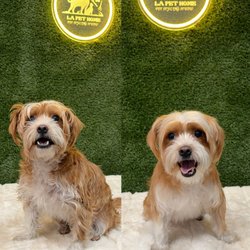 LA Pet Home