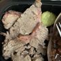Photo of Black Hog BBQ