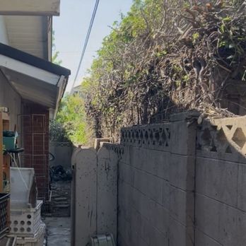 Muro Tree Service - After - Tree Services Near Me