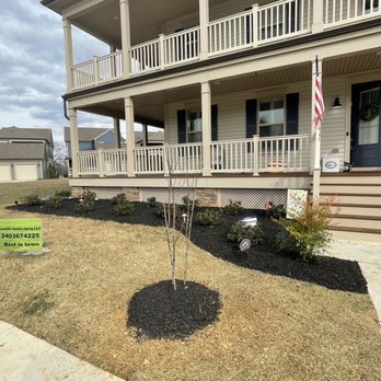 Castillo Landscaping Services - Dynamite crape myrtle - Landscaping Near Me
