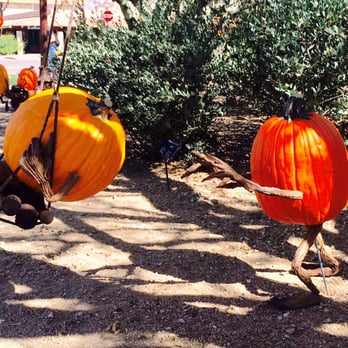 Enchanted Pumpkin Garden - Pumpkin Patches Near Me - Carefree, Arizona Enchanted Pumpkin Garden - Pumpkin Patches Near Me - Carefree, Arizona