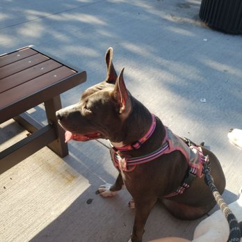Long Island Bagel Cafe - Long Beach - Waiting patiently for our bagels to come out - Cafes Near Me - Long Beach, New York Long Island Bagel Cafe - Long Beach - Waiting patiently for our bagels to come out - Cafes Near Me - Long Beach, New York