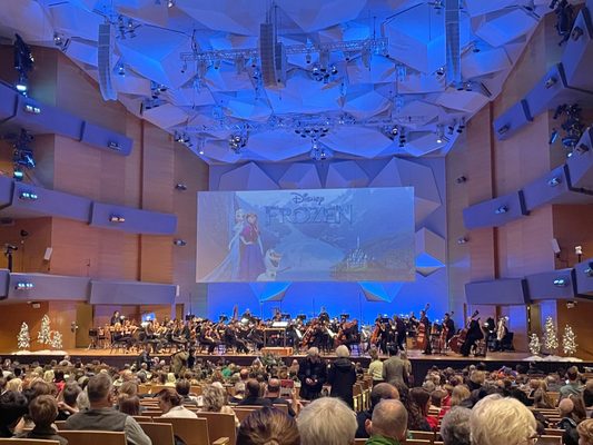 Minnesota Orchestra by null
