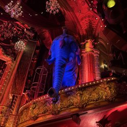 Moulin Rouge - Can't believe she sleeps in and elephant. #goals