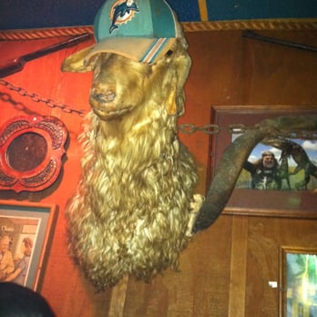 Seven Seas - Dive Bars Near Me - Miami, Florida