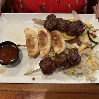 TERIYAKI STEAK & POTSTICKER SKEWERS