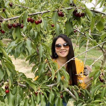 Harris Orchards - Kids are allowed. These trees are meant for them. LOL. Start them young. Lol - Pick Your Own Farms Near Me - Ripon, California