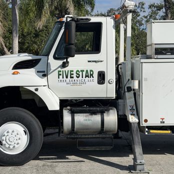Five Star Tree Service - Tree Services Near Me - Bradenton, Florida Five Star Tree Service - Tree Services Near Me - Bradenton, Florida