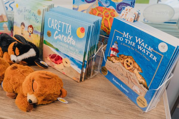 The Sandbox Children's Museum by null