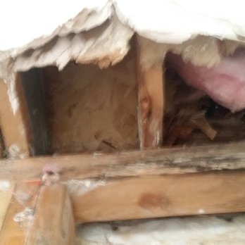 Servpro - Sara W. - ceiling cavity after drywall removed - Damage Restoration Near Me - Albuquerque, New Mexico Servpro - Sara W. - ceiling cavity after drywall removed - Damage Restoration Near Me - Albuquerque, New Mexico