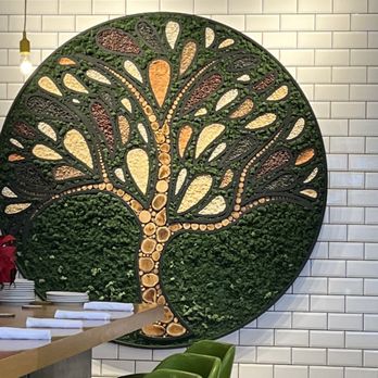 True Food Kitchen - Decor - New American Near Me - Oakbrook, Illinois