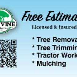 The Vine Tree Service