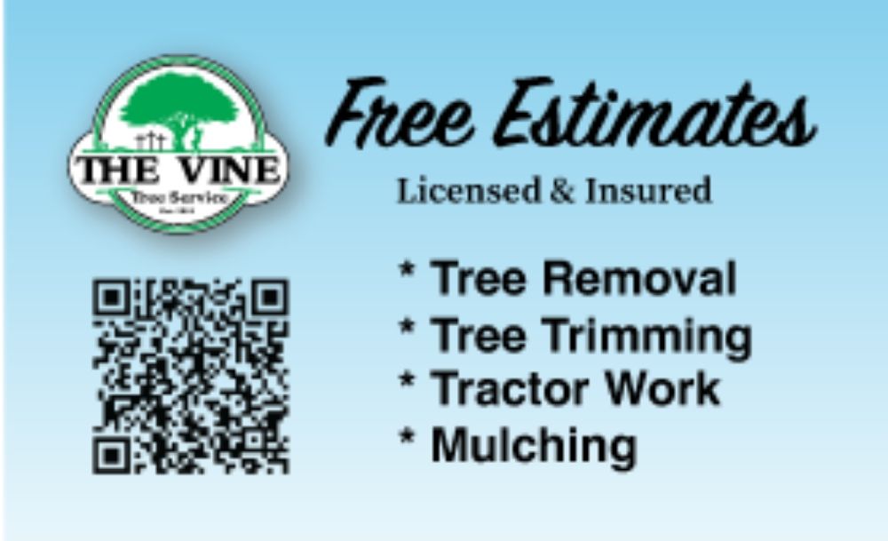 THE VINE TREE SERVICE 39249 9th Ave, Zephyrhills, Florida Tree