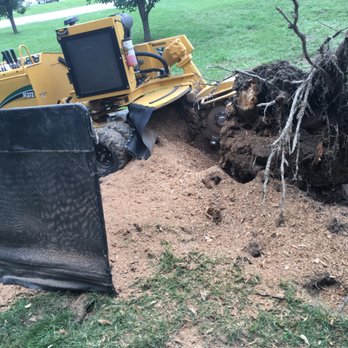 All About Stumps - Tree Services Near Me All About Stumps - Tree Services Near Me