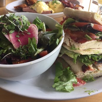 Morgans Restaurant - Avo chicken club with a nice flatbread bun and the incredible side salad. - New American Near Me - Miami, Florida Morgans Restaurant - Avo chicken club with a nice flatbread bun and the incredible side salad. - New American Near Me - Miami, Florida