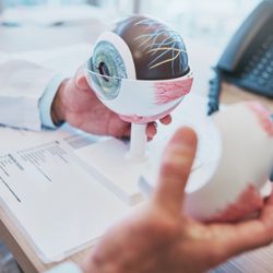 Limberg Lasik - Model of an eye