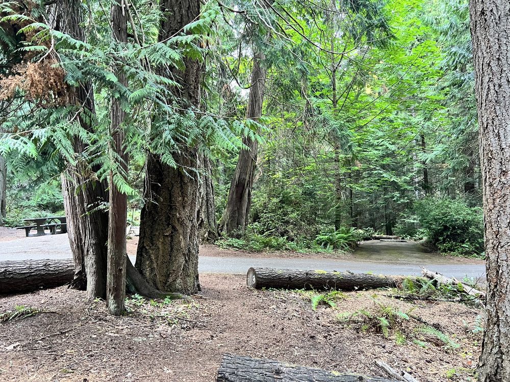 Old Fort Townsend State Park Image