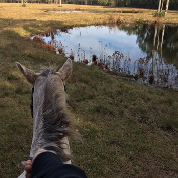 Desperado Trail Rides - Horseback Riding Near Me - Rocky Point, North Carolina