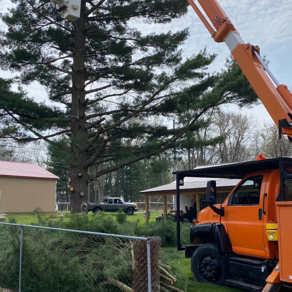 THE BEST 10 Tree Services near MILLERSPORT, OH - Last Updated December 2023  - Yelp