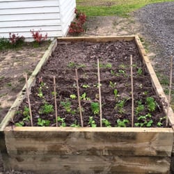 Neds Beds - Veggie bed