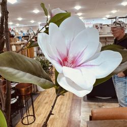 HomeGoods
