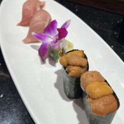 Big Tuna Japanese Cuisine