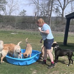 Happy Tails Daycare & Pet Resort