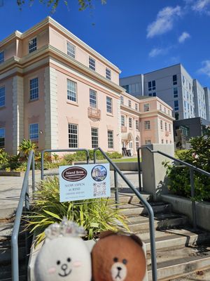 Island Brew Coffeehouse