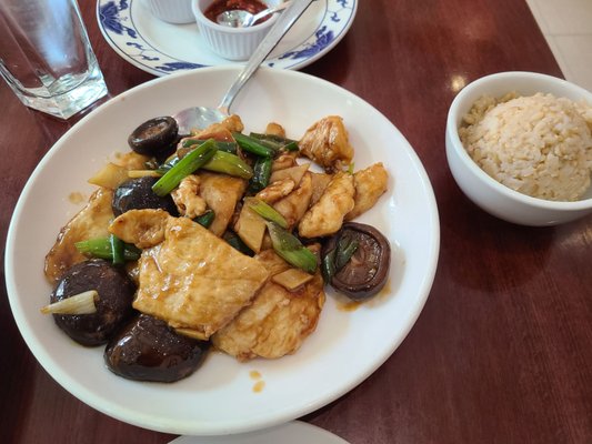 Cafe Evergreen by null