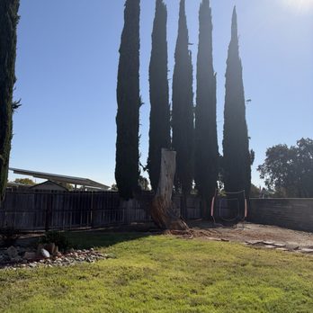 CalWest - Tree Services Near Me CalWest - Tree Services Near Me