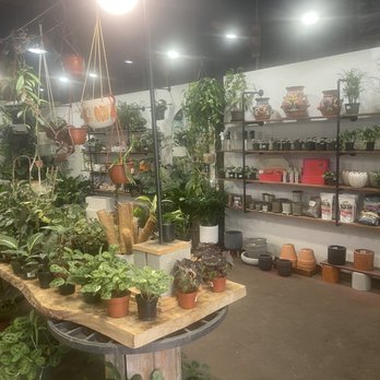NorthFlora Collective  - Nurseries & Gardening Near Me - Tallahassee, Florida