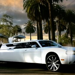 Dragan Limocab - Exotic very unique Challenger Limousine