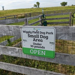 Wiggly Field - Wiggly Field, West Chester OH