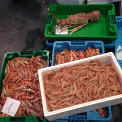 Mercado de Abastos del Carmen - Aún sin colocar