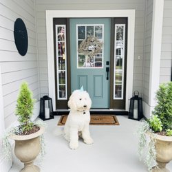 Howl-A-Day Inn - Before being groomed