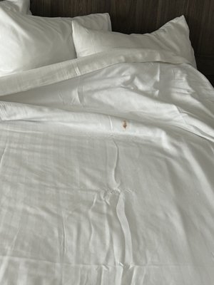 Serene Vegas Boutique Hotel by null